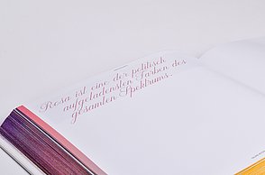 Abschlussarbeit Hannah Makki: Color in Biopics – Detail