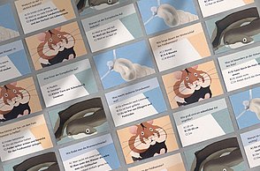 Darlene Schiebel–Die letzten ihrer Art. Die Bedeutung und Rettung heimischer Tierarten. Fragekarten.