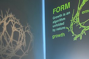 Foto einer Ecke in welcher Schmuckstücke präsentiert werden