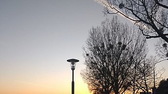 Foto am Fluss Danube