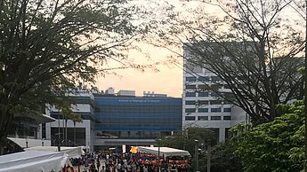 Mooncake Fest