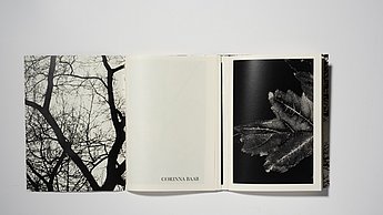 Arbeit von Corinna Baab, Visuelle Kommunikation 4. Semester: Die dendritische Form – eine künstlerische Auseinandersetzung