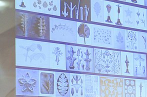 Tagung Medium Lehrmittel Forschungsprojekt Kupfer Prof. Dr. Angela Nikolai