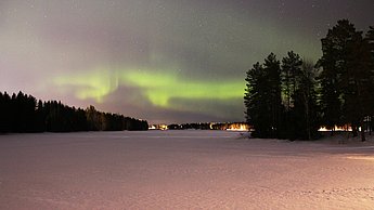 Foto einer verschneiten Waldlandschaft bei Nacht. Polarlichter zieren den Nachthimmel