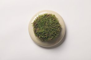 Dargestellt wird die modulare Produktfamilie aus einzelnen Objekten mit austauschbaren Interaktionsflächen, die unterschiedliche sensorische Reize in variabler Intensität bieten. 