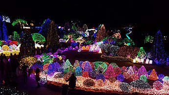 Lichterfest in einem Garten