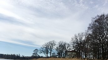 Kleine Malerei einer Waldlandschaft