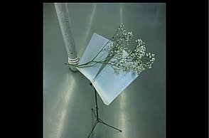 Maritza Lapeira–Klassische Musik heute und in Zukunft: Entwicklung eines Konzepts, wie klassische Musik in einem popkulturellen Umfeld Anklang gewinnen kann. Entworfener Notenständer.