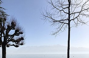 Foto einer Straße hinter welcher der See vernebelt ist