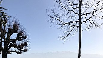 Foto einer Straße hinter welcher der See vernebelt ist
