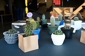 Kleine Kakteen stehen in Vasen in verschiedenen Formen und Farben