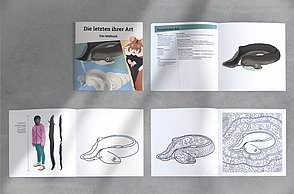 Darlene Schiebel–Die letzten ihrer Art. Die Bedeutung und Rettung heimischer Tierarten. Malbuch.