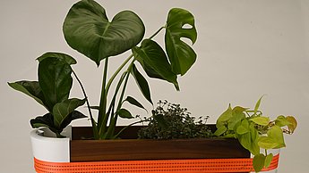 One size fits all: Der Blumenkasten von Alena Strothmann lässt sich variabel vergrößern.