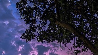Der Sonnenuntergang lässt den Himmel in blauen, lilanen und rosanen Farben erstrahlen