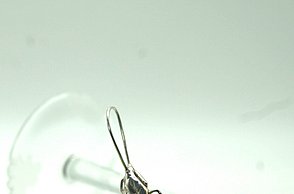 Arbeit von Hellena Hueck: Lucky Pine Juice