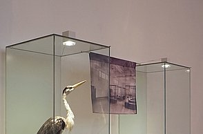 Tagung Medium Lehrmittel Forschungsprojekt Kupfer Ausstellung