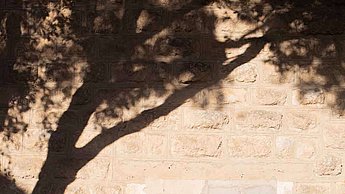 Foto einer Person an einer Steinwand
