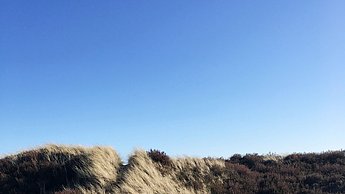 Foto einer Landschaft in Dänemark 