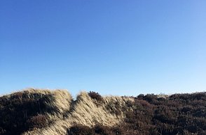 Foto einer Landschaft in Dänemark 