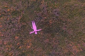 Person in rosa Kostüm liegt auf einer dunklen Wiese