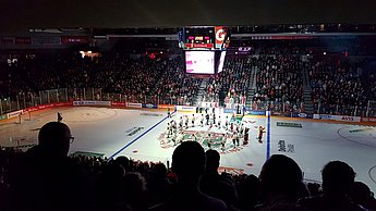 Foto eines Hockey Stadiums 
