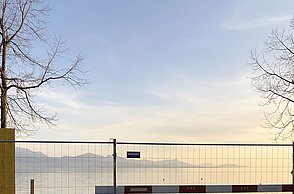 Foto eines Busches mit Blumen vor einem Zaun