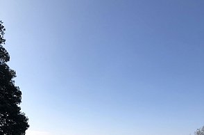 Foto eines Garten in Schnee