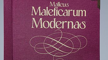 Abschlussarbeit Smilla Heidmann: - The Devil is in the Details - Satanic Panic als Form der Modernen Hexenverfolgung – Cover