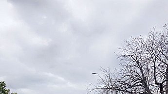Auto steht am Straßenrand geparkt