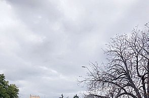 Auto steht am Straßenrand geparkt