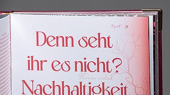 Abschlussarbeit Smilla Heidmann: - The Devil is in the Details - Satanic Panic als Form der Modernen Hexenverfolgung – Innenansicht_03