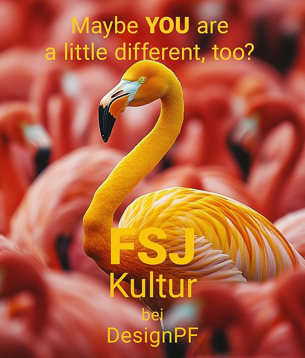 Ein Poster zum FSJ Kultur an der Design Hochschule Pforzheim. Abgebildet ist ein gelber Flamingo der sich von den pinken Flamingos abhebt