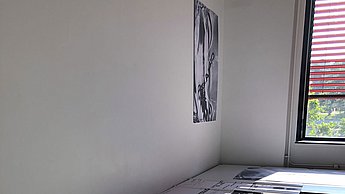 Foto eines Arbeitszimmers in welches Licht einfällt 