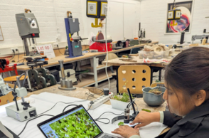 Person sitzt an einem Laptop