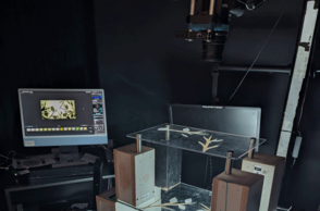 Foto einer Ausstellung 