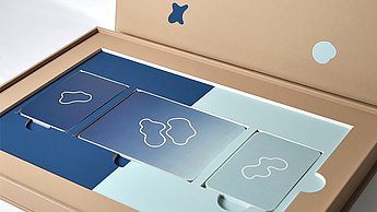 Tatjana Hoffmann–Nervensache. Eine Krankheit namens Multiple Sklerose. Box mit Inhalt.