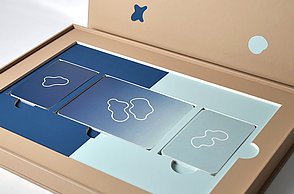 Tatjana Hoffmann–Nervensache. Eine Krankheit namens Multiple Sklerose. Box mit Inhalt.