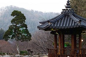 Bild von einem Garten