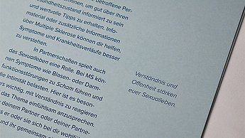 Tatjana Hoffmann–Nervensache. Eine Krankheit namens Multiple Sklerose. Weiteres Detail Broschüre.