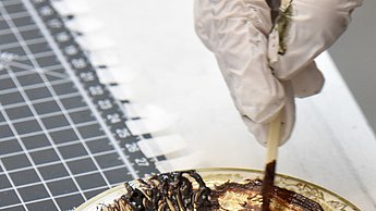 Masse mit Stäbchen verrührt 