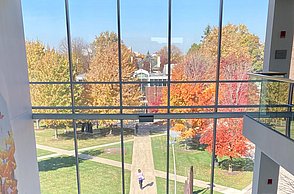 Aussicht aus einem Fenster auf einen Garten