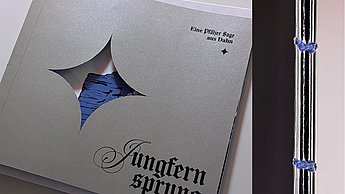 Abschlussarbeit Friederike Ritter: Pfälzer Sagen - Eine Entdeckungsreise durch  die regionale Mythenwelt – Cover und Bindung