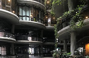 Häuser mit Gewächs