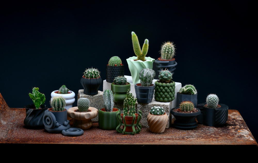 Kakteensammlung